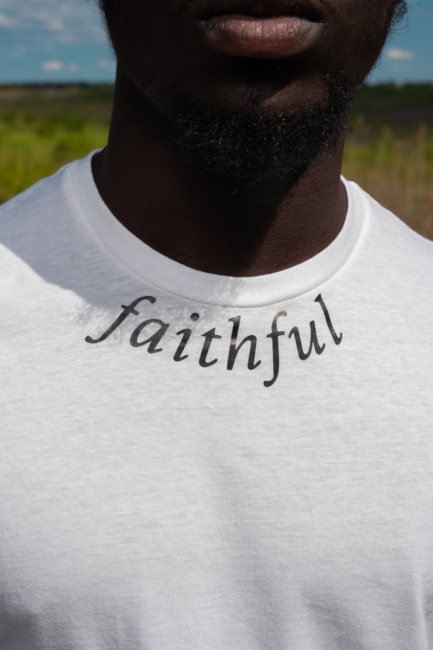 Faithful No.1